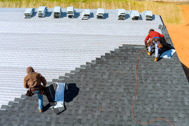 Best Gutter Replacement  in Riceville, TN